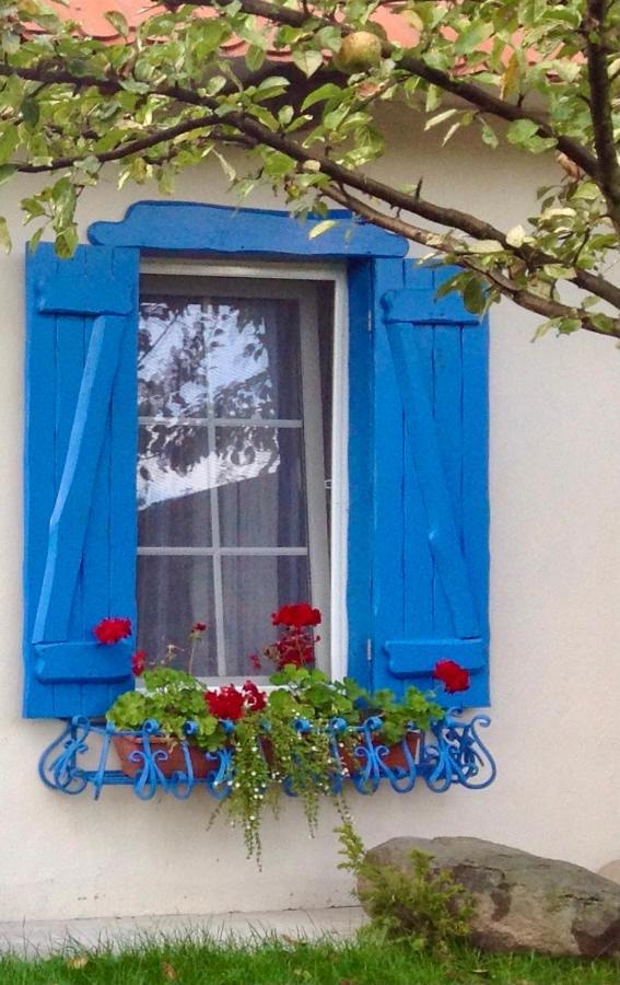 Flower Street سفيتياز المظهر الخارجي الصورة